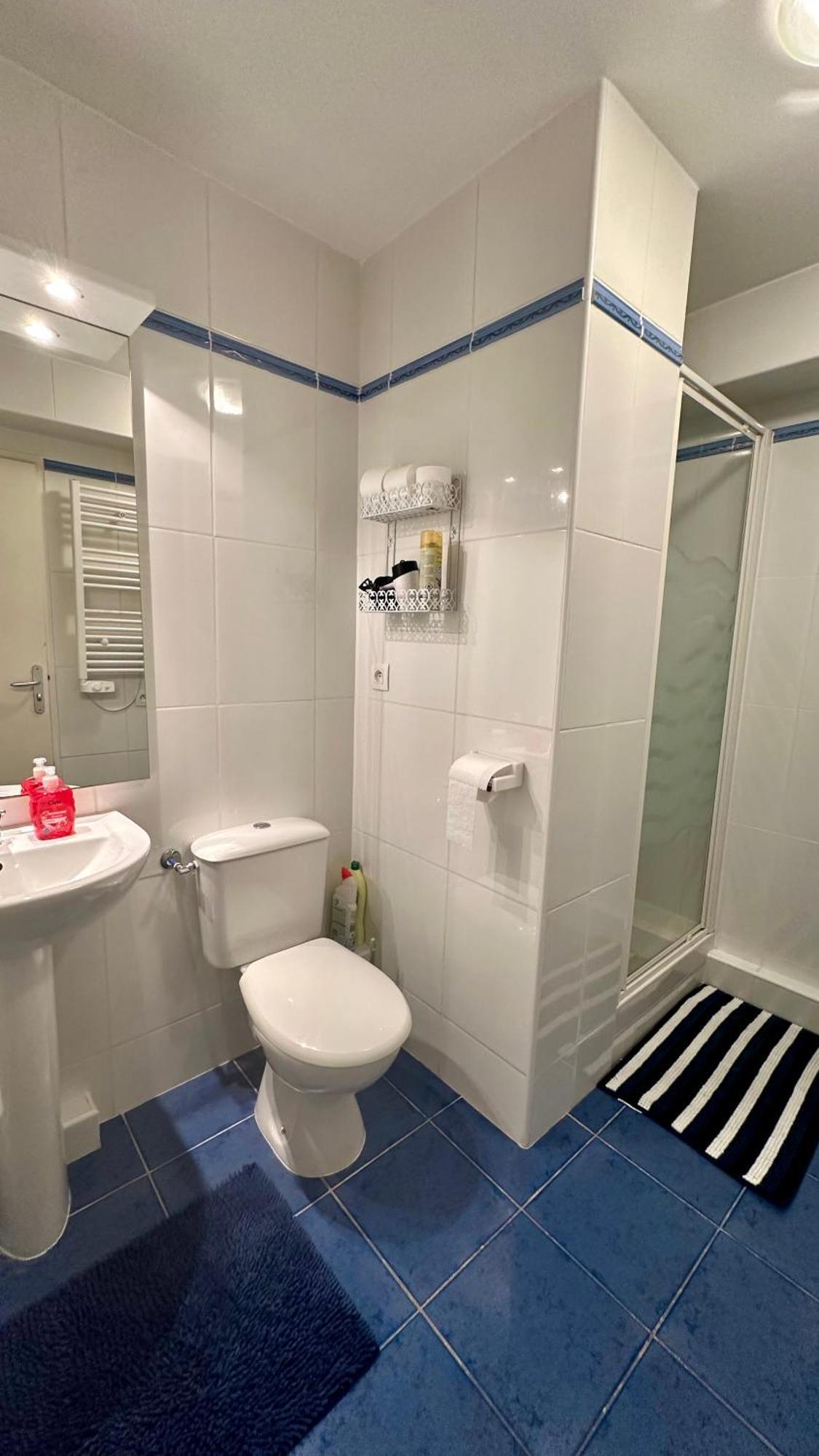 Appartements Du Pic D'Anie Arette Bagian luar foto